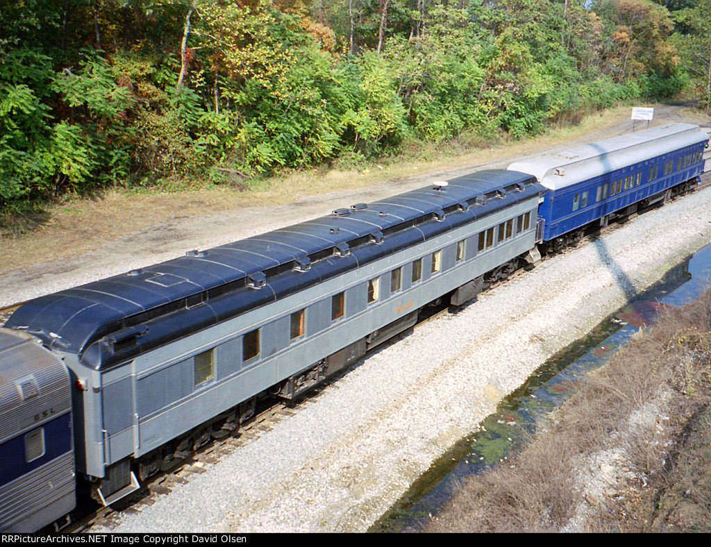 PPCX 800313 “Virginia City” and PPCX 800111 "Georgia 300"